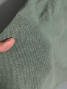 Sage Green Solid Polo T-Shirt ( First Copy )