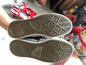 Converse Sneakers