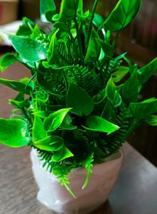 Artificial Plant 4 Piece