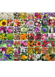 Variety Seed Collection