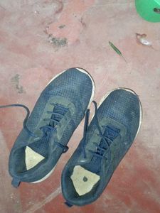 Navy Blue Mesh Sneakers