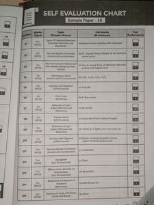 Science Sample Paper Class 10th 2024