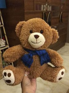 Cute Brown Teddy Bear with Blue Scarf