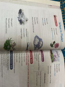 English Plus Reader 4