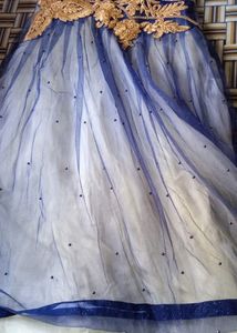 Navy Blue Ethnic Gown