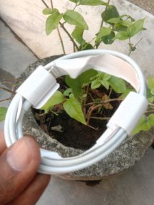iphone Charging Cable