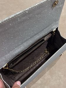 Sparkly Silver Clutch
