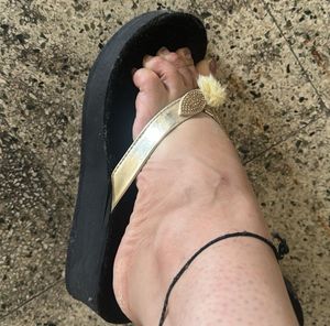 Silver Cat Black &amp; Gold  Pom Slippe
