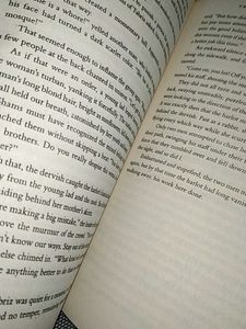 The Forty Rules of Love by Elif Shafak