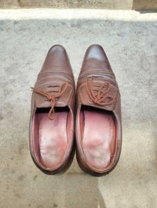 shoe size 44