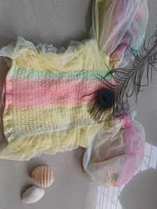 Rainbow Sheer Crop Top