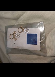 ₹250/- Earrings