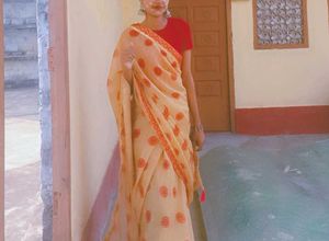 Elegant Saree
