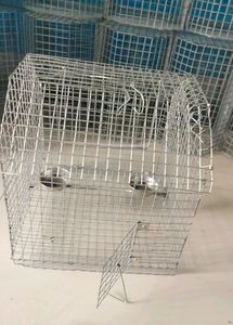 Parrots Cage (Pijara)