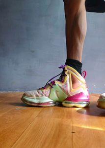 Nike Jordan LeBron 19