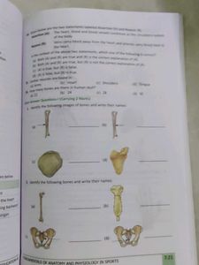 Saraswati Health &amp; Physical Education - Class XI