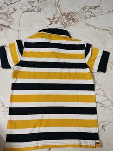 Striper Polo Tshirt