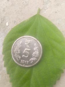 Oms Error Coin 5 Rupee