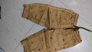 Animal Print Cropped Pants