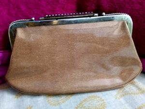 Elegant Clutch