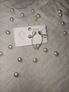 Elegant Silver Earrings