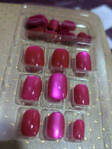Korean Chrome Urbanic Nail Extensions / Press On