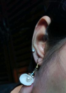 Sea Shell Earrings