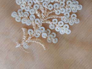 Elegant Peach Embellished Saree Set