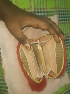 Hand Pouch