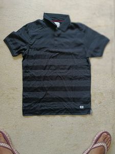 Octave Tshirt - Medium Size