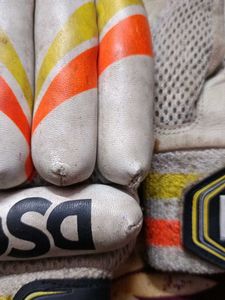 DSC Condor Atmos Cricket Gloves