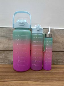 Gradient Water Bottles Set