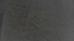 Black Cropped T-Shirt