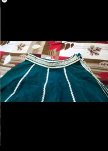 Velvet Skirt