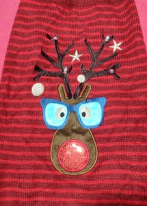 LED Light Dog Winter Jecket