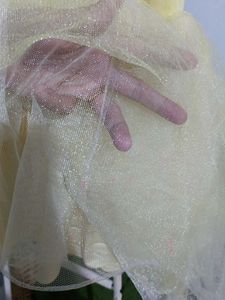 Tulle Dress