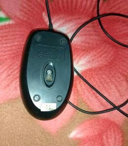 Mouse
