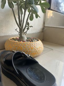 Sandals by Nykd- Nykaa Fashion