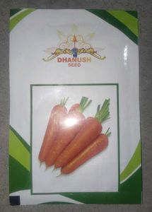Organic Carrot Seeds Pack Of 1
