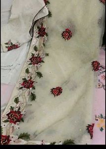 Saree & Coral Suit