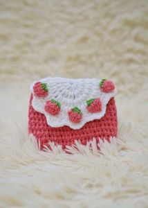 Strawberry Crochet Clutch
