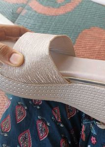 Elegant Champagne Slides