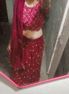 pink and Blue Lehenga Choli Set