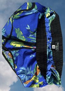 Harmony&amp;Havoc Shorts