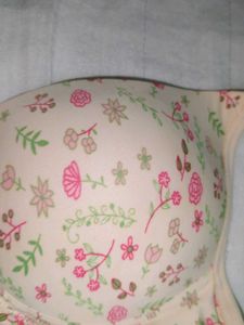 Ebillia Paded Bra