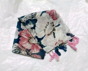 Combo Of 6 Scarves For Women