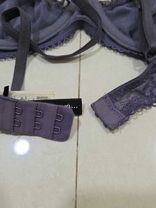 Elegant Purple Lace Bra from Paris