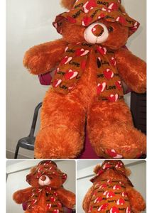 teddy brown colour