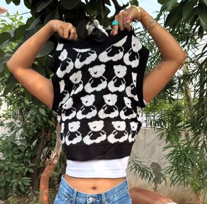 Teddy Bear Vest