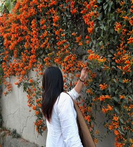 White Embroidered Cotton Kurti with Lace Detailing